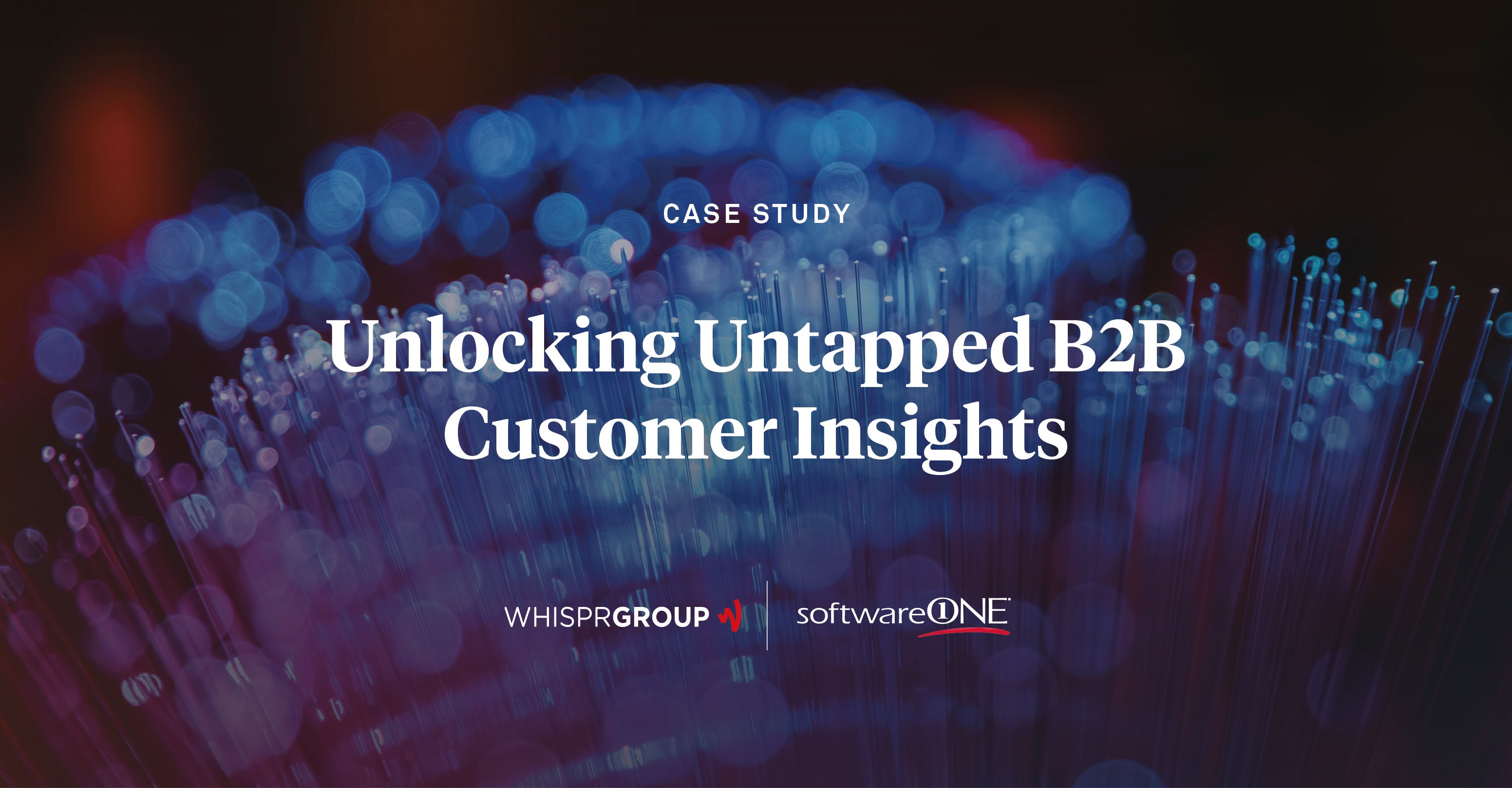 SoftwareONE tasked Whispr Group with providing insights on their hard-to-track niche target group